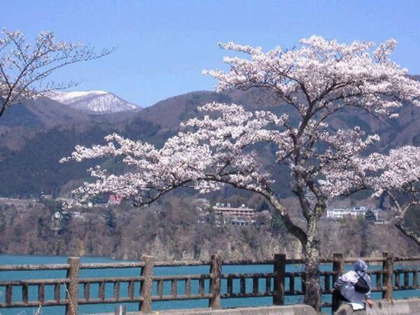 Hotel Kojokaku Katashina Екстериор снимка